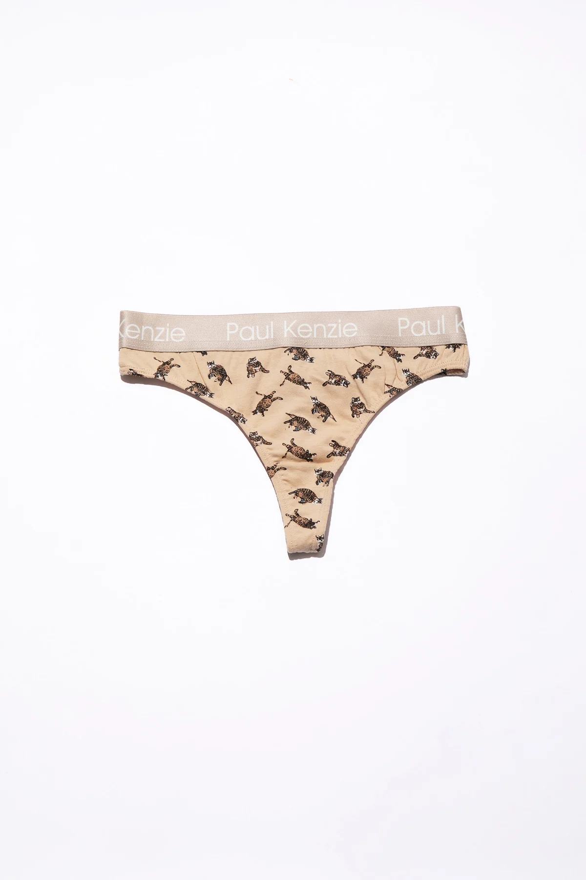 Paul Kenzie x Kurtaran Ev - Tombili Couple - Image 7