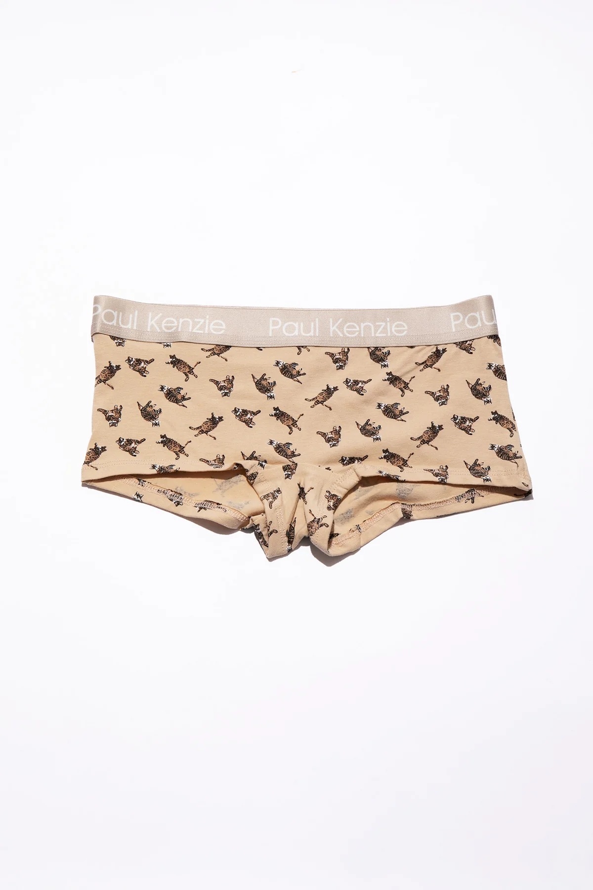 Paul Kenzie x Kurtaran Ev - Tombili Couple - Image 8
