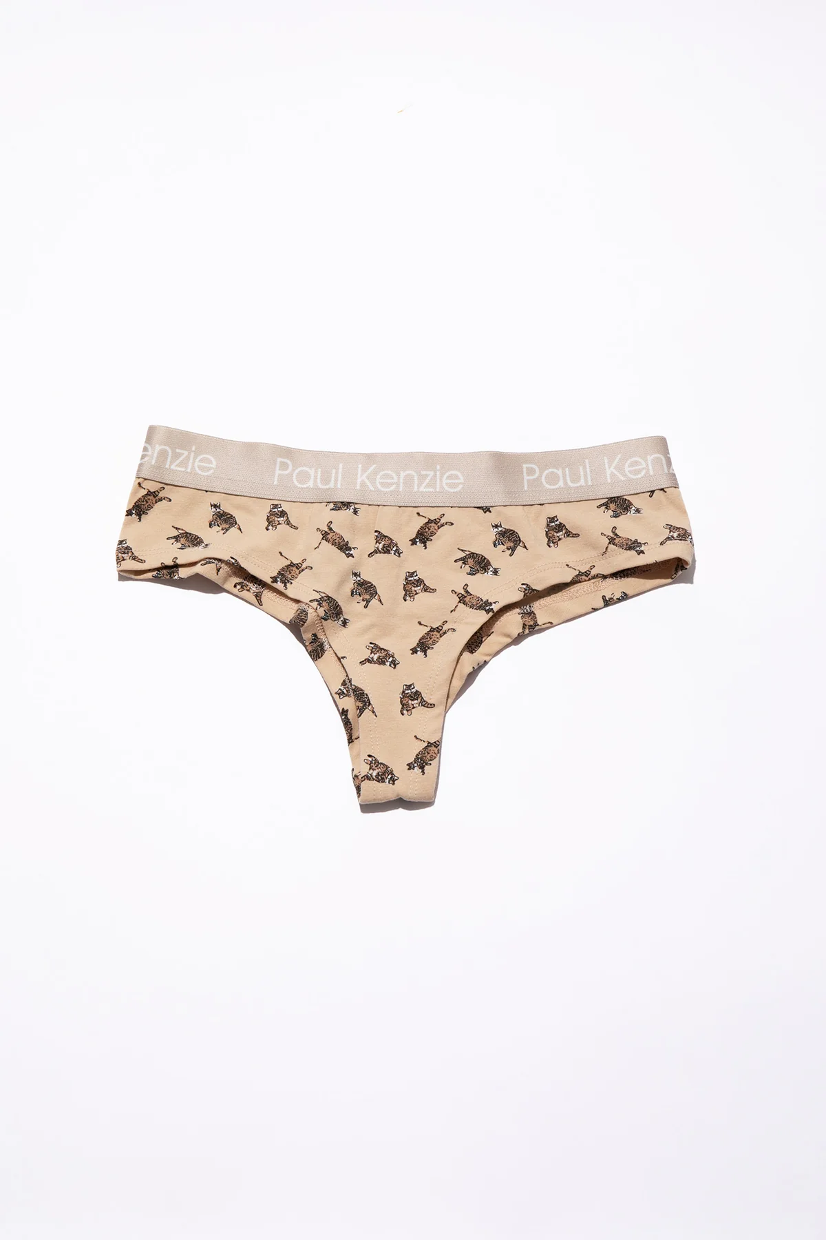 Paul Kenzie x Kurtaran Ev - Tombili Couple - Image 9