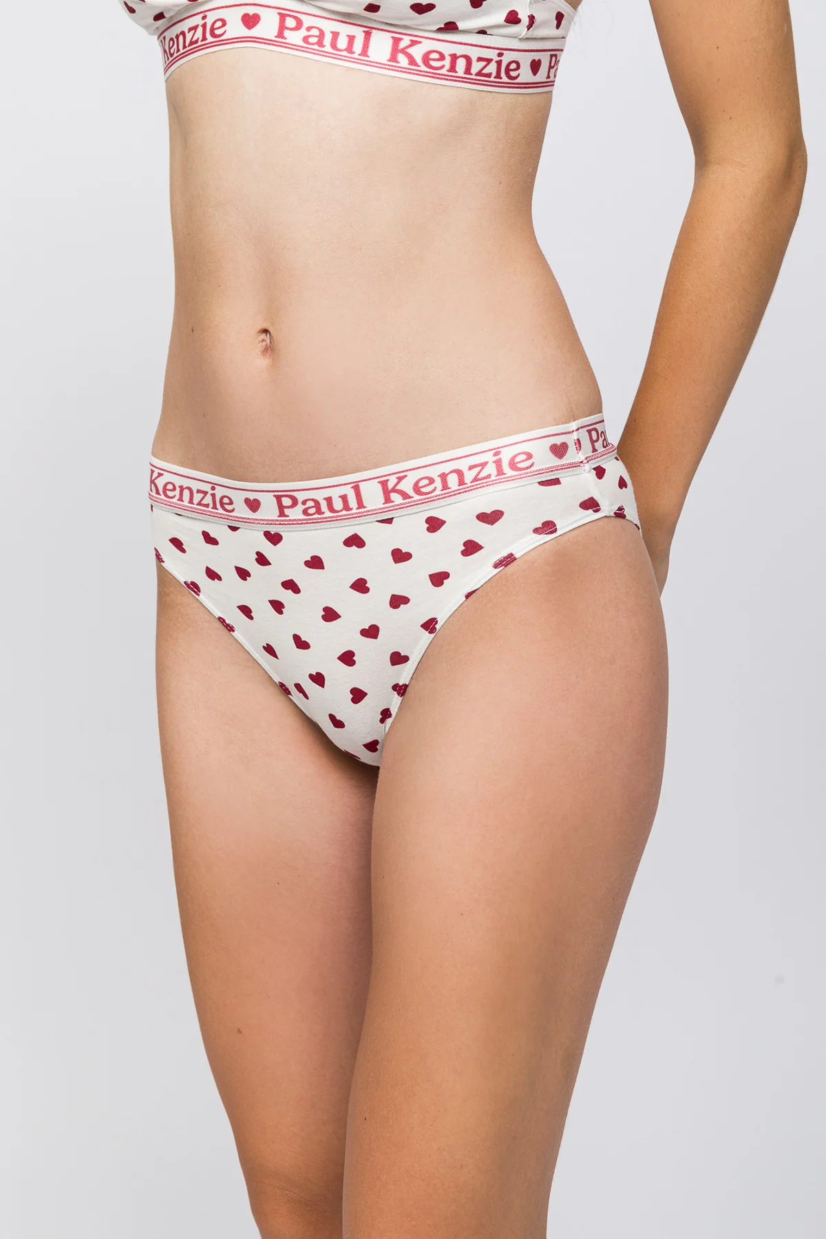 Valentine Collection - Kadın Slip Külot - Burgundy Hearts - Image 4